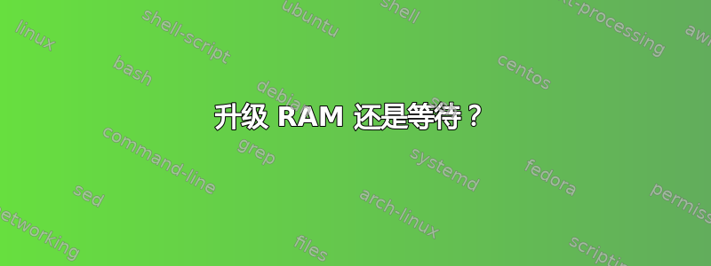 升级 RAM 还是等待？