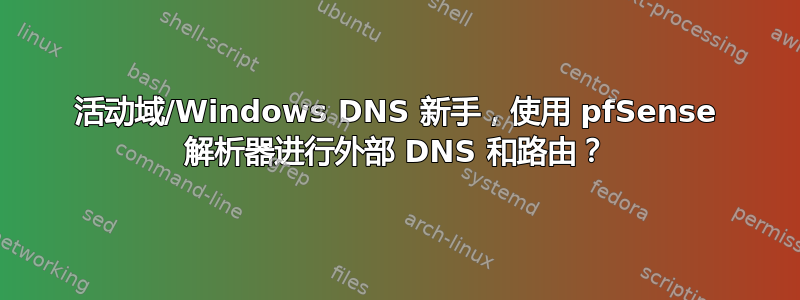 活动域/Windows DNS 新手，使用 pfSense 解析器进行外部 DNS 和路由？