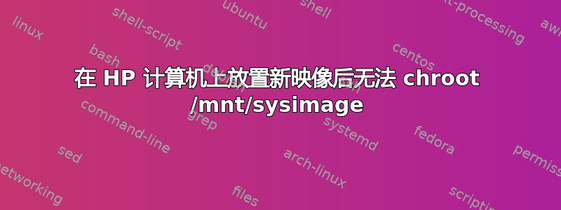 在 HP 计算机上放置新映像后无法 chroot /mnt/sysimage