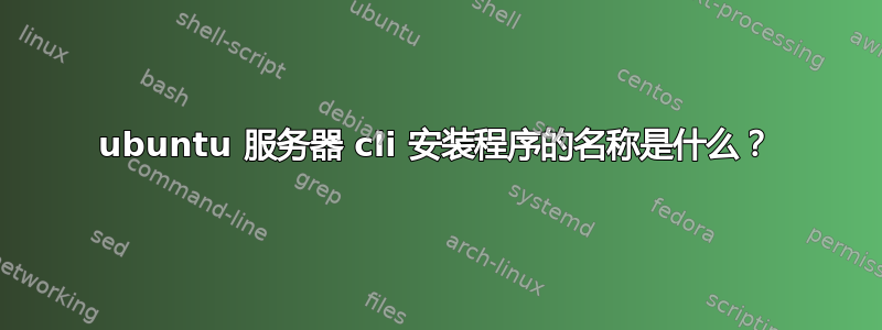 ubuntu 服务器 cli 安装程序的名称是什么？