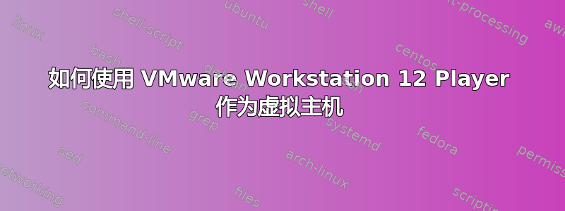 如何使用 VMware Workstation 12 Player 作为虚拟主机