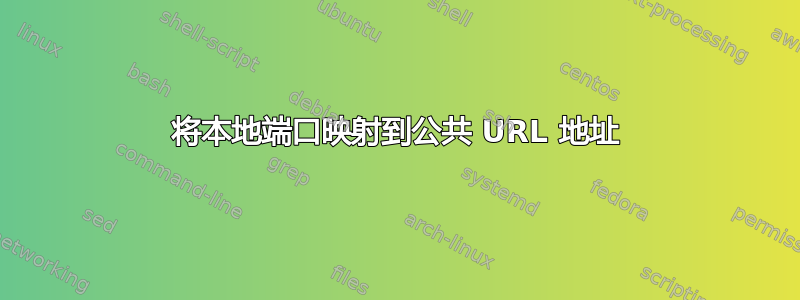 将本地端口映射到公共 URL 地址