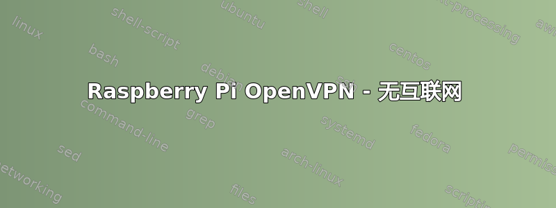 Raspberry Pi OpenVPN - 无互联网