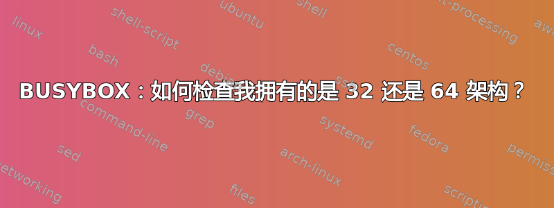 BUSYBOX：如何检查我拥有的是 32 还是 64 架构？