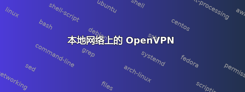 本地网络上的 OpenVPN