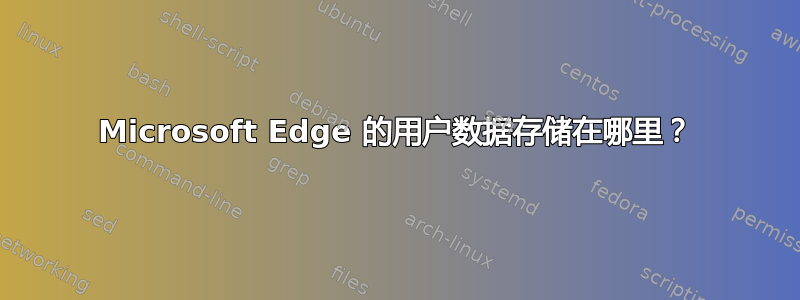 Microsoft Edge 的用户数据存储在哪里？