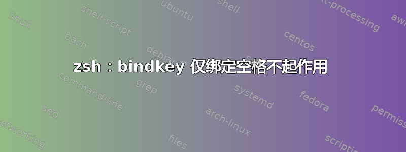 zsh：bindkey 仅绑定空格不起作用