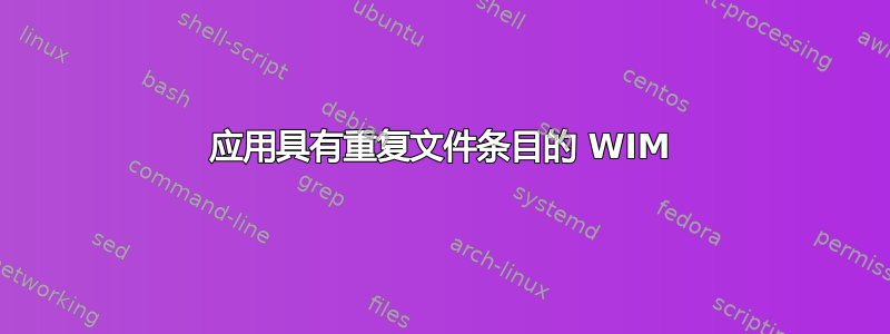 应用具有重复文件条目的 WIM