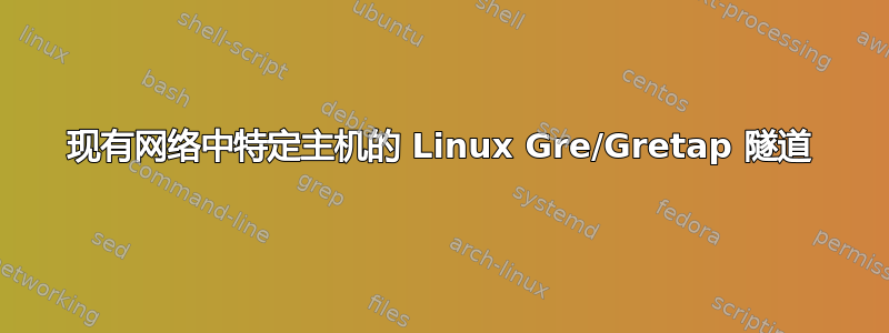 现有网络中特定主机的 Linux Gre/Gretap 隧道