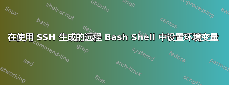 在使用 SSH 生成的远程 Bash Shell 中设置环境变量