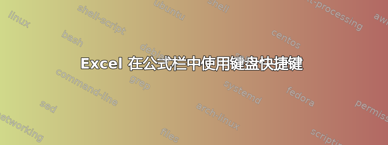 Excel 在公式栏中使用键盘快捷键