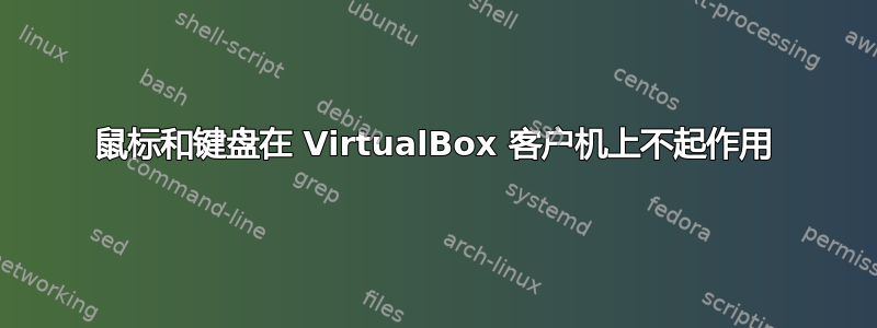 鼠标和键盘在 VirtualBox 客户机上不起作用