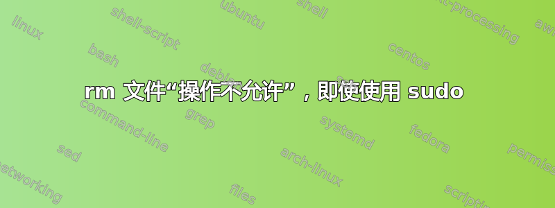 rm 文件“操作不允许”，即使使用 sudo