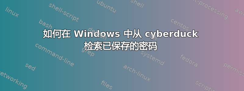 如何在 Windows 中从 cyberduck 检索已保存的密码