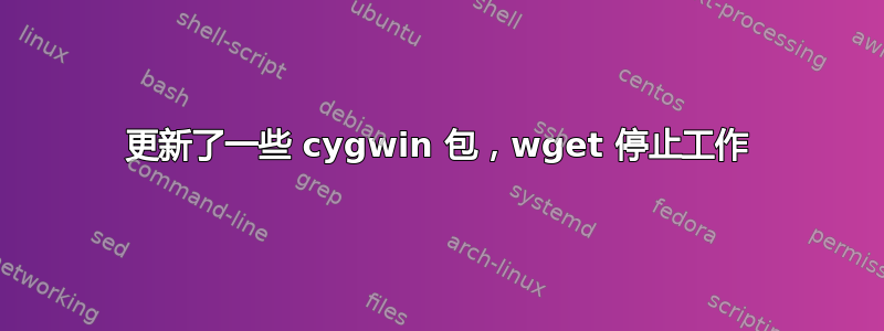 更新了一些 cygwin 包，wget 停止工作