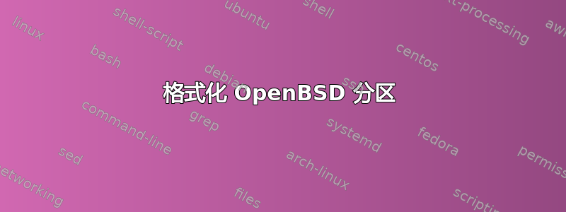 格式化 OpenBSD 分区