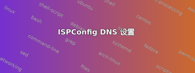 ISPConfig DNS 设置