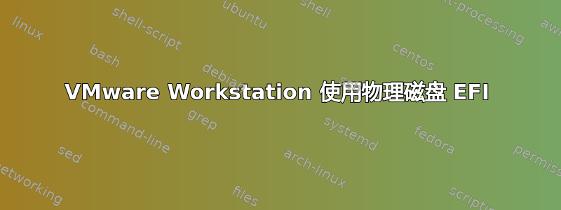 VMware Workstation 使用物理磁盘 EFI