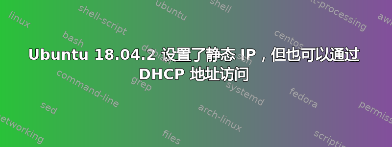 Ubuntu 18.04.2 设置了静态 IP，但也可以通过 DHCP 地址访问