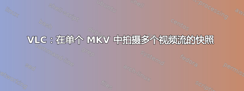 VLC：在单个 MKV 中拍摄多个视频流的快照