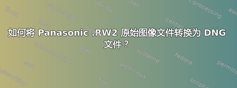 如何将 Panasonic .RW2 原始图像文件转换为 DNG 文件？