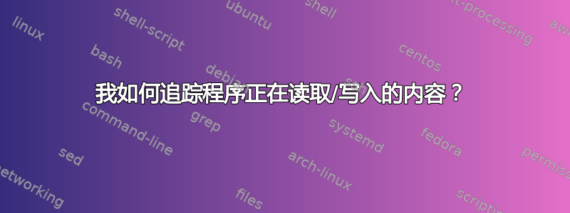 我如何追踪程序正在读取/写入的内容？