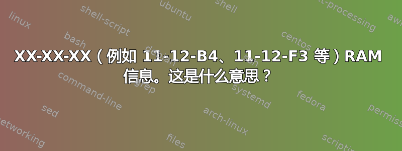 XX-XX-XX（例如 11-12-B4、11-12-F3 等）RAM 信息。这是什么意思？