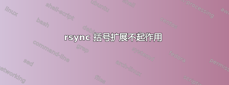 rsync 括号扩展不起作用