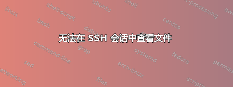 无法在 SSH 会话中查看文件