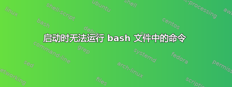 启动时无法运行 bash 文件中的命令