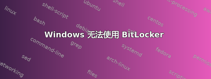 Windows 无法使用 BitLocker