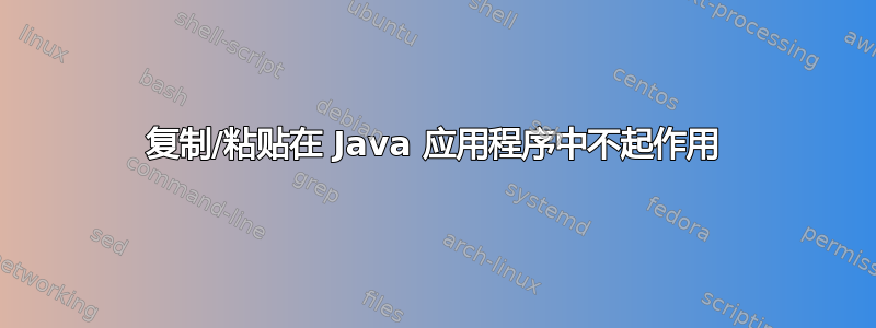 复制/粘贴在 Java 应用程序中不起作用