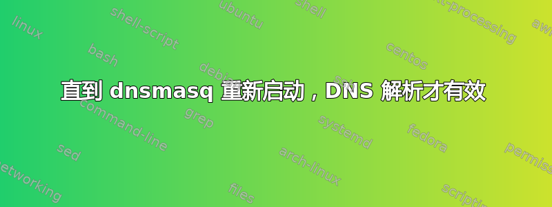 直到 dnsmasq 重新启动，DNS 解析才有效