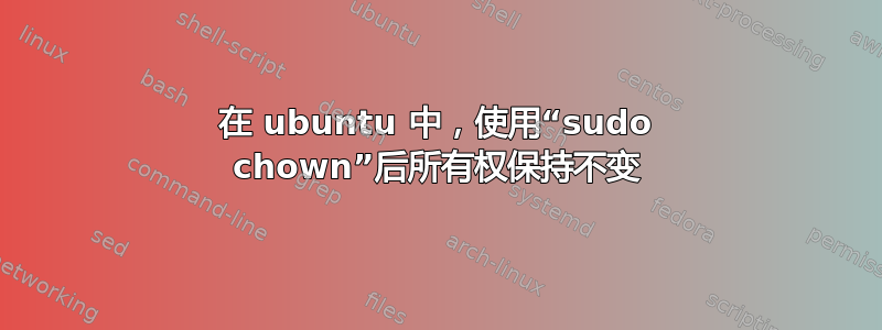 在 ubuntu 中，使用“sudo chown”后所有权保持不变