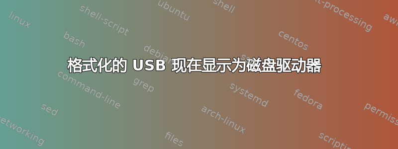 格式化的 USB 现在显示为磁盘驱动器 