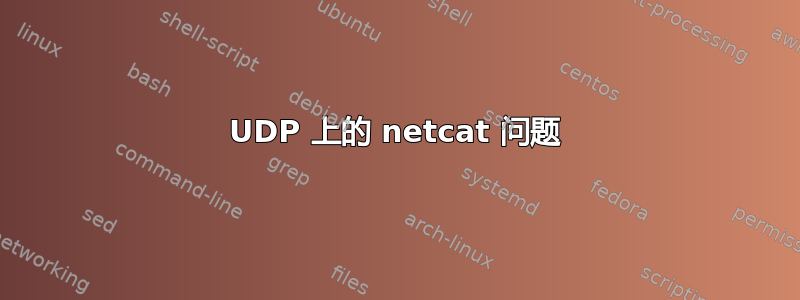 UDP 上的 netcat 问题