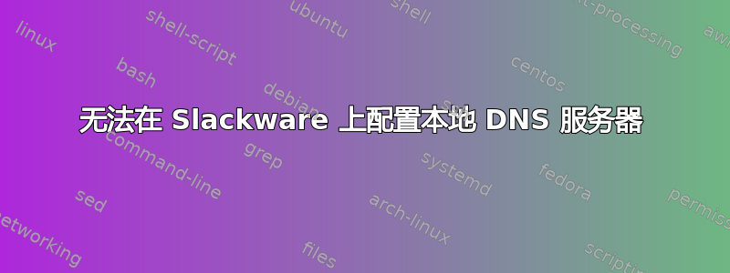 无法在 Slackware 上配置本地 DNS 服务器