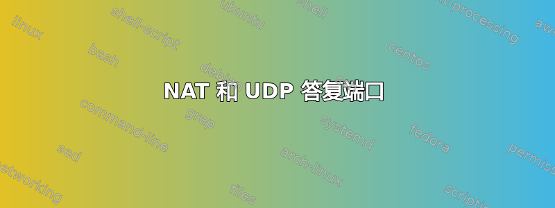 NAT 和 UDP 答复端口