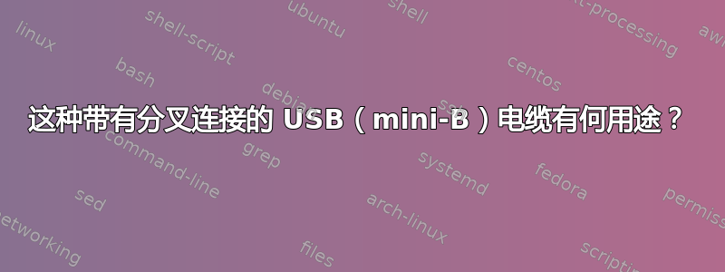 这种带有分叉连接的 USB（mini-B）电缆有何用途？