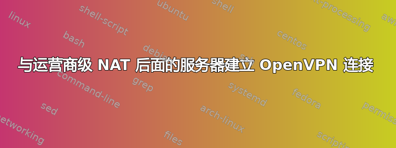 与运营商级 NAT 后面的服务器建立 OpenVPN 连接