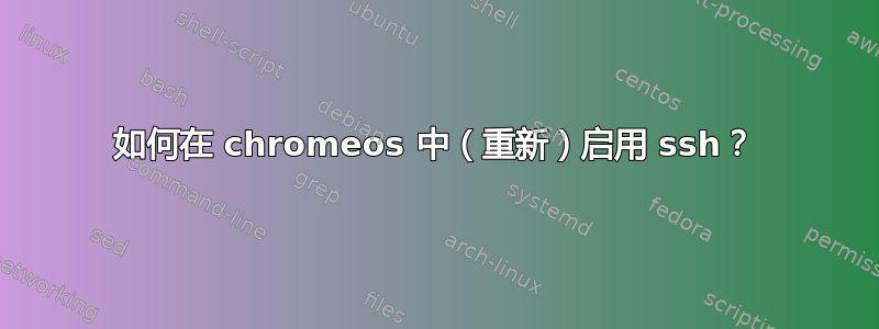 如何在 chromeos 中（重新）启用 ssh？