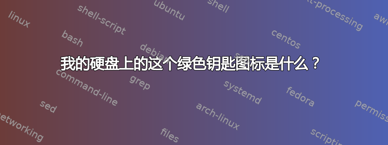 我的硬盘上的这个绿色钥匙图标是什么？