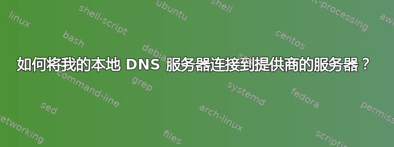 如何将我的本地 DNS 服务器连接到提供商的服务器？