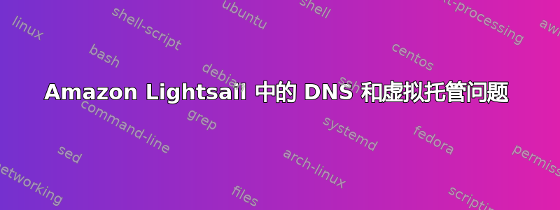 Amazon Lightsail 中的 DNS 和虚拟托管问题