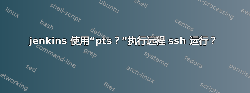 jenkins 使用“pts？”执行远程 ssh 运行？