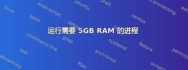 运行需要 5GB RAM 的进程