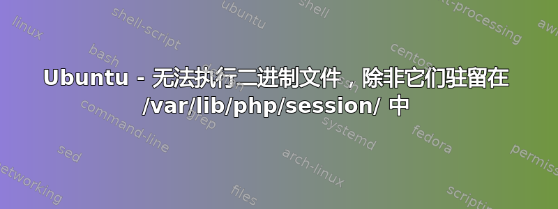 Ubuntu - 无法执行二进制文件，除非它们驻留在 /var/lib/php/session/ 中