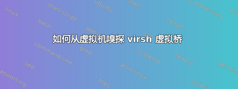 如何从虚拟机嗅探 virsh 虚拟桥