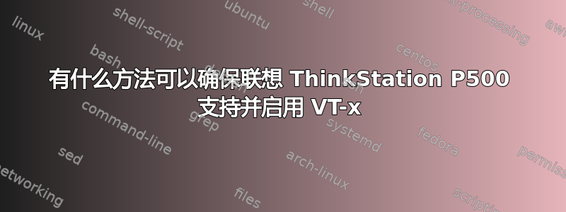 有什么方法可以确保联想 ThinkStation P500 支持并启用 VT-x