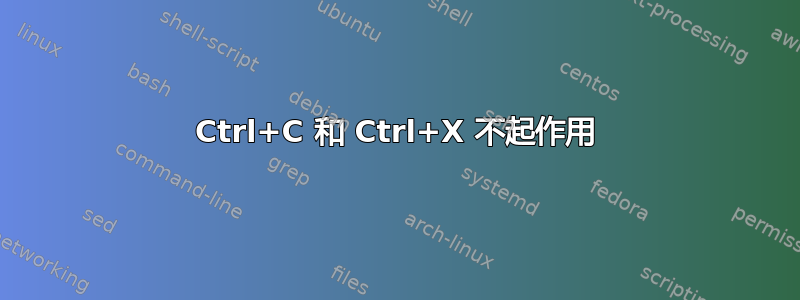 Ctrl+C 和 Ctrl+X 不起作用